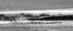 bosque2011 1417 18 19 20 21 22 23 B&amp;W-Artistic