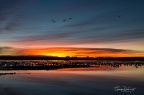 bosque2012  2239