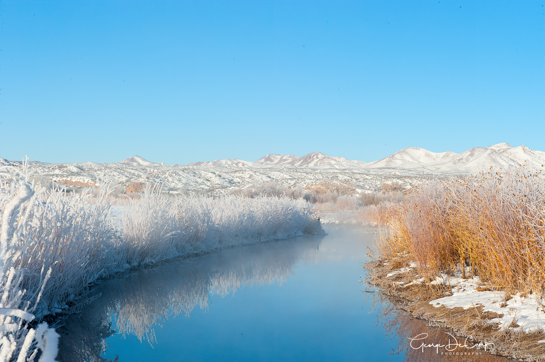 bosque2011_1694.jpg